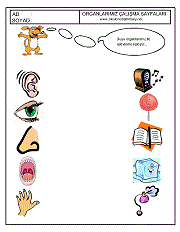 okul öncesi duyu organlarını eşleştir